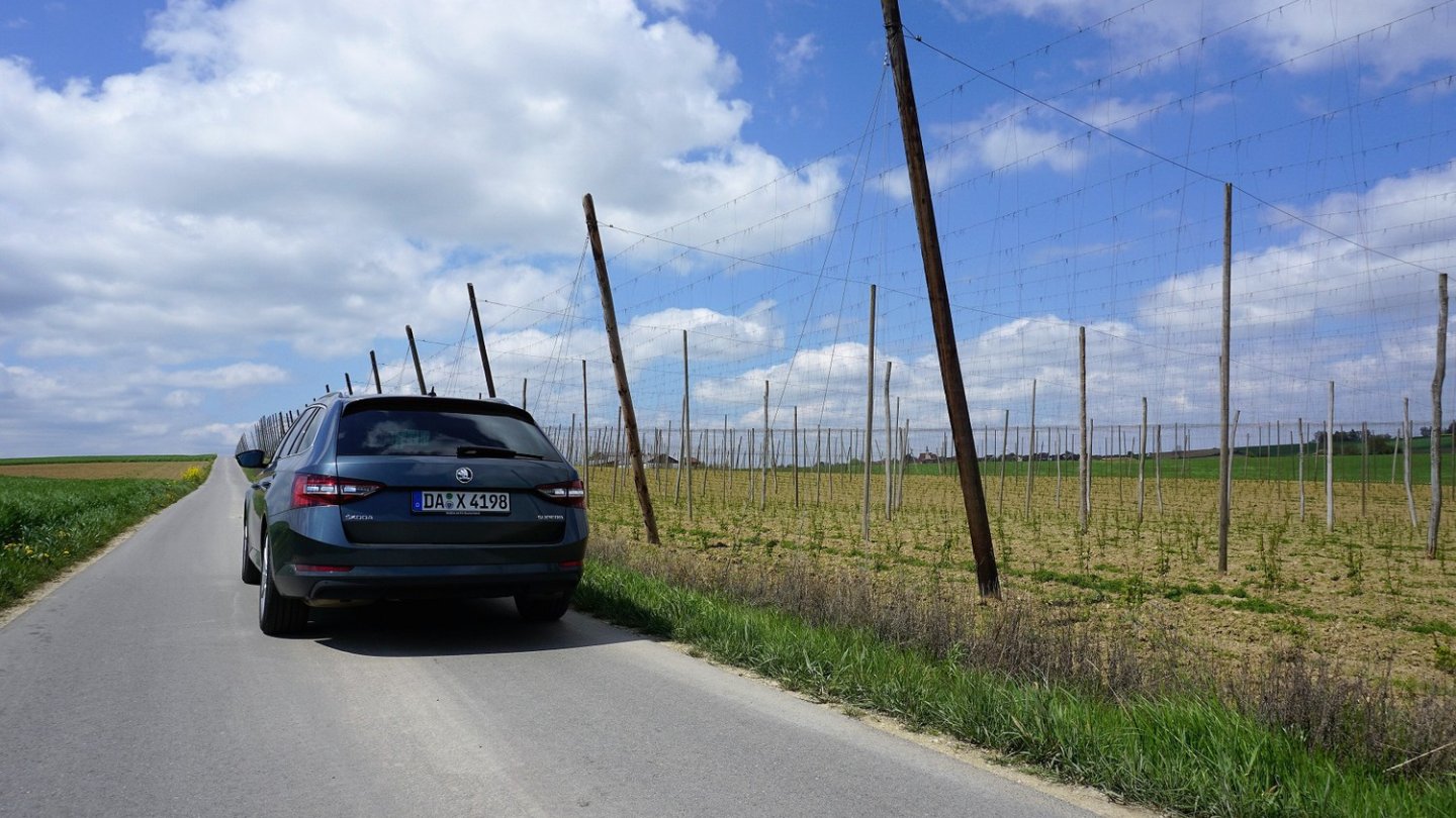 Den Hopfen habe ich lieber nicht eingeladen. Wäre die helle Innenausstattung je wieder sauber geworden? Den Hopfen habe ich lieber nicht eingeladen. Wäre die helle Innenausstattung je wieder sauber geworden?